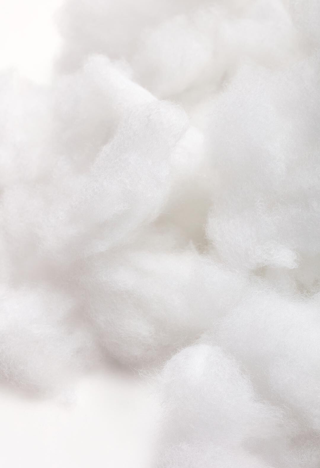 Recycled Polyester
