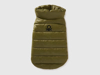 Casaco acolchoado verde para cães - ucb_image_FS