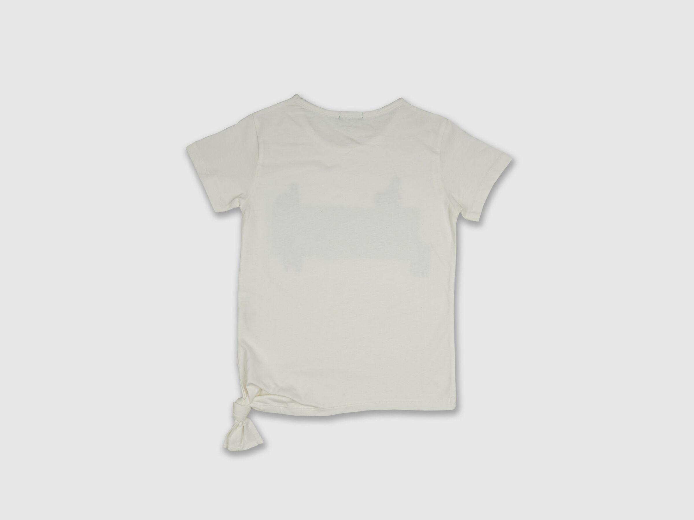 Banner With Llama Tee image number 1