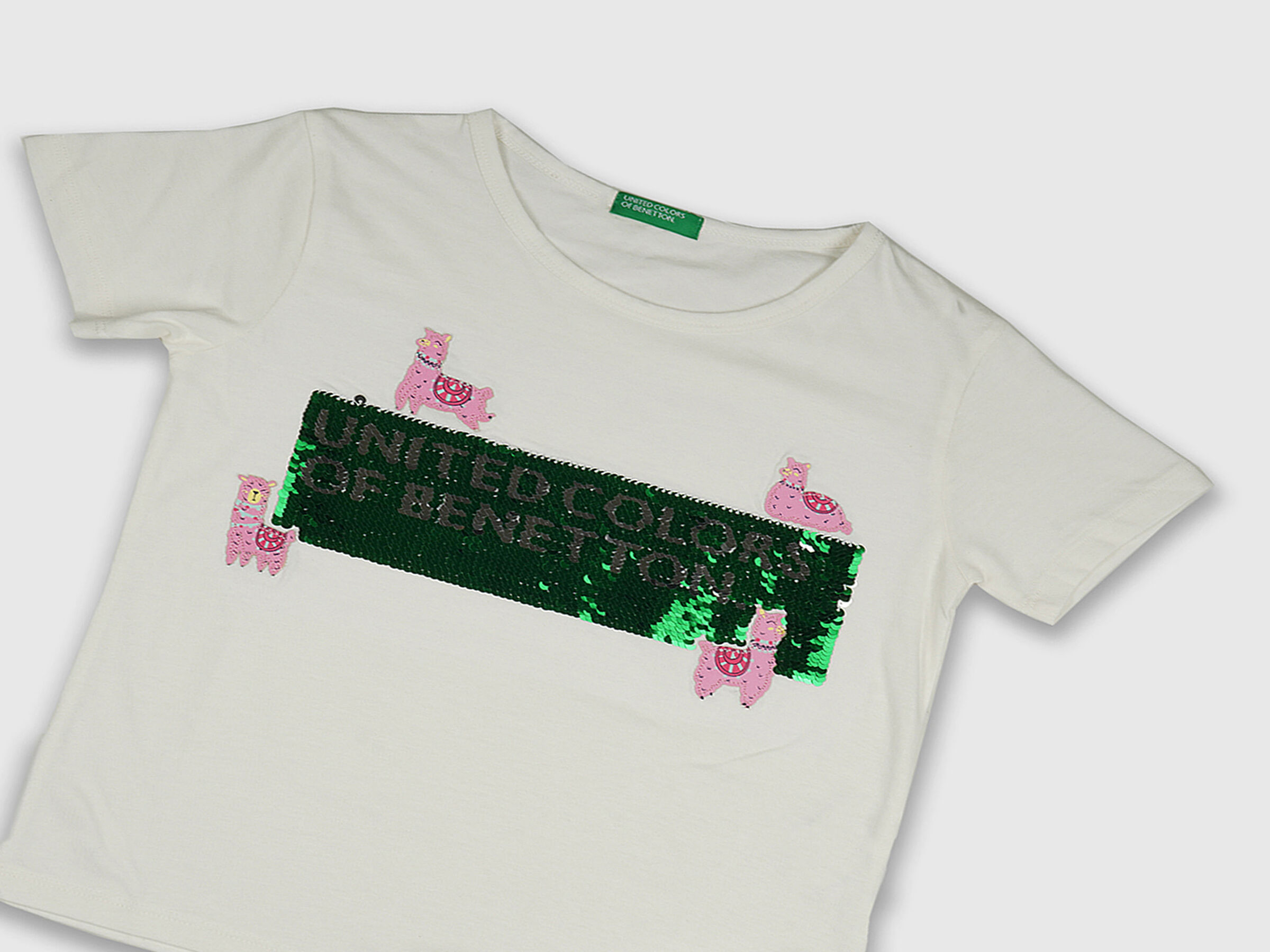 Banner With Llama Tee image number 2