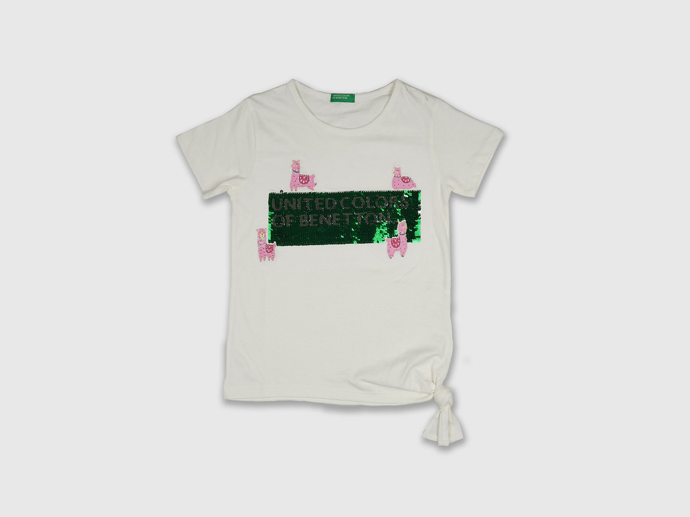 Banner With Llama Tee image number 0