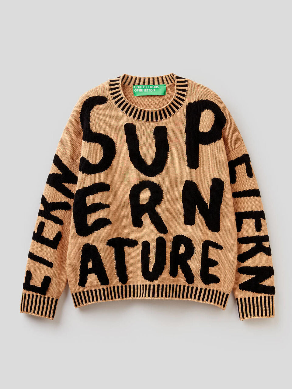 Cotton sweater with inlay motif image number 1