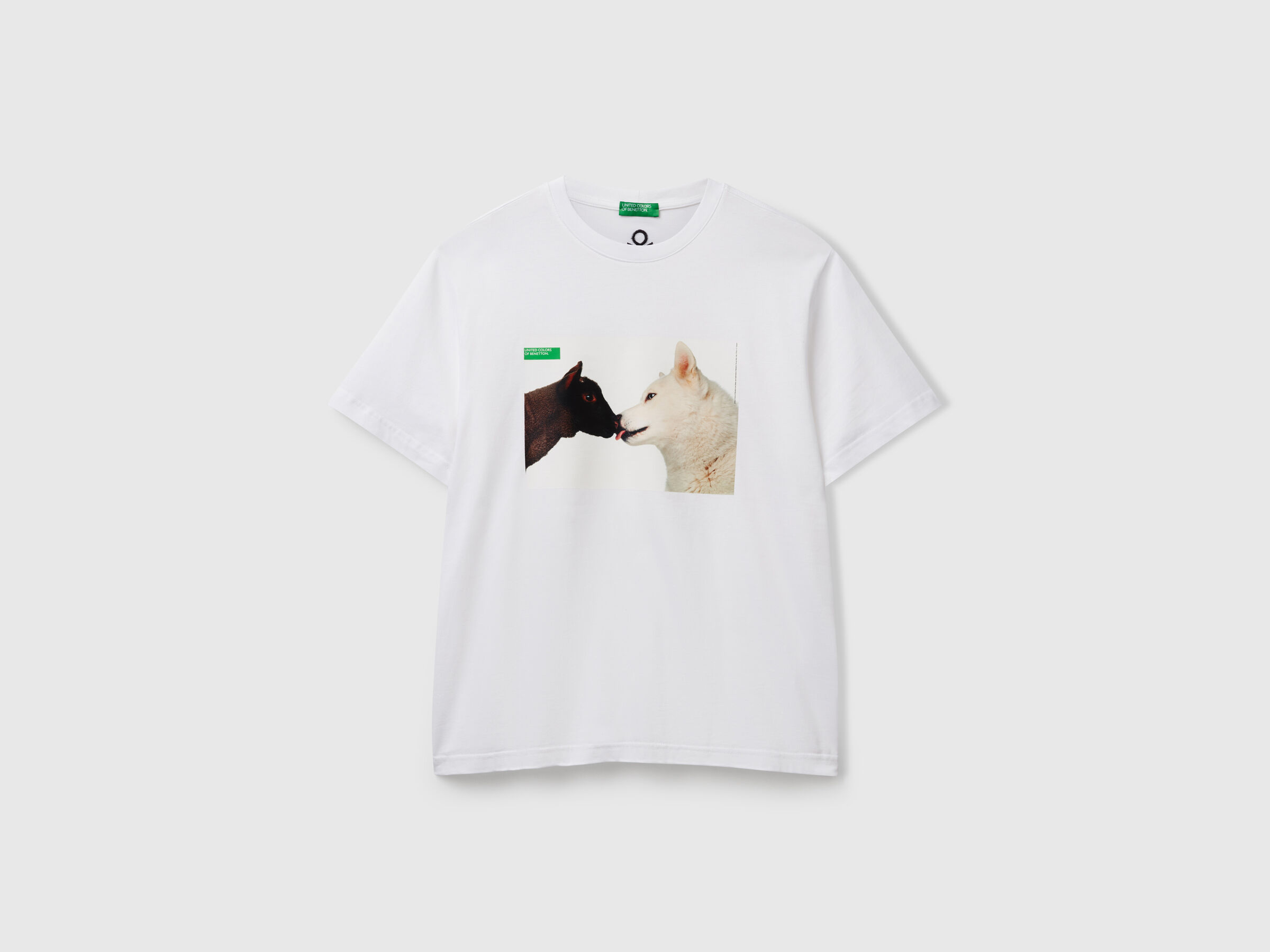 T-SHIRT image number 5