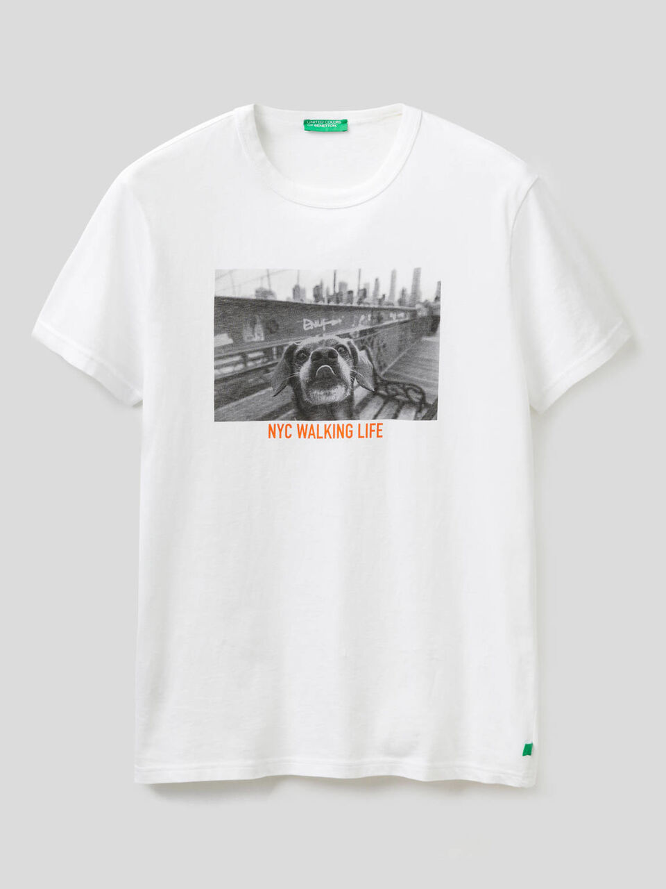 Organic cotton t-shirt with print image number 1