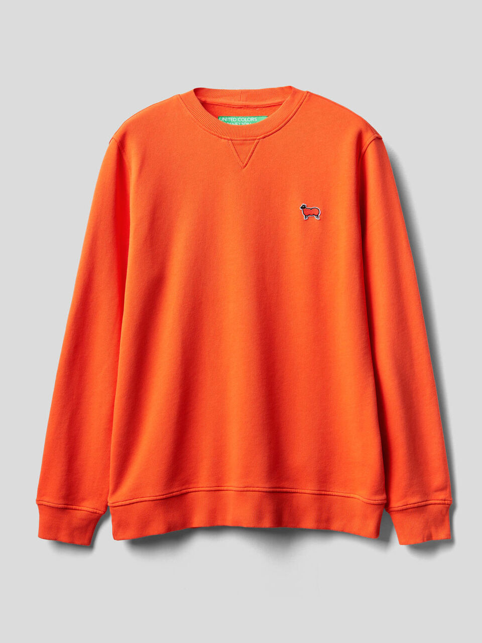 Solid colored sweatshirt in organic cotton image number 1