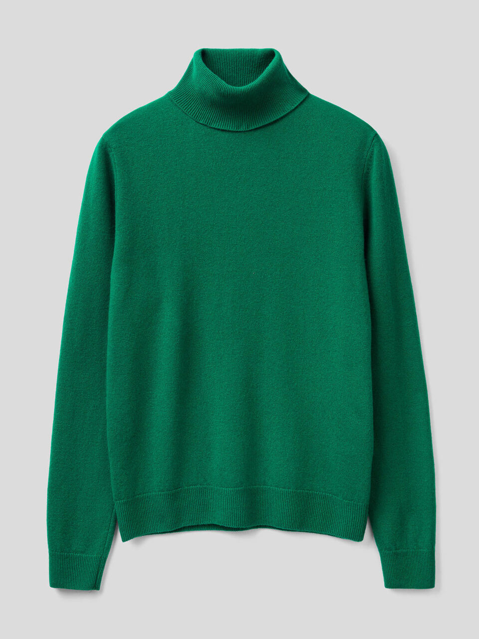 Turtleneck sweater in pure virgin wool image number 1